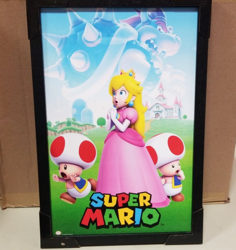 Cadre / Framed - Super mario (Princess And Toad)